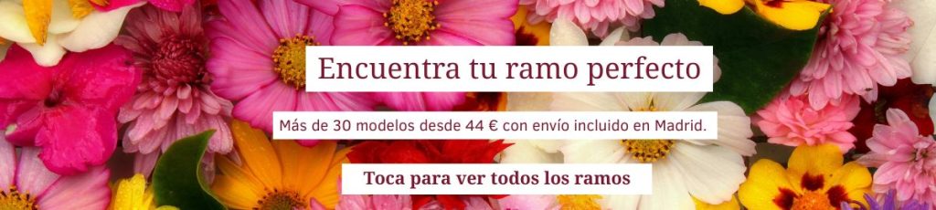 Mira el ramo de temporada Mira uno de nuestros ramos de flores más vendidos, preparado según disponibilidad de temporada.