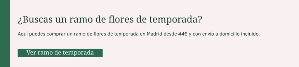 Mira el ramo de temporada Mira uno de nuestros ramos de flores más vendidos, preparado según disponibilidad de temporada.