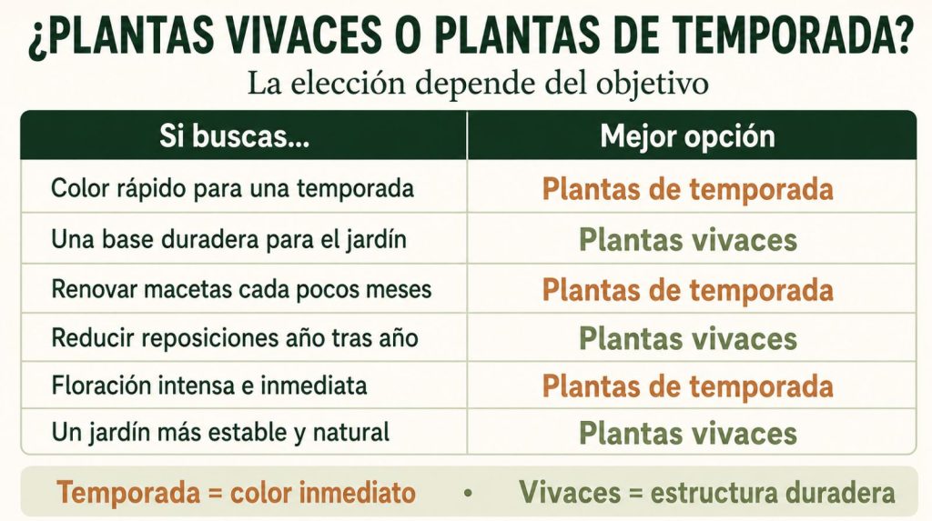 Plantas vivaces o plantas de temporada: cómo elegir Comparativa entre plantas vivaces y plantas de temporada según el objetivo del jardín
