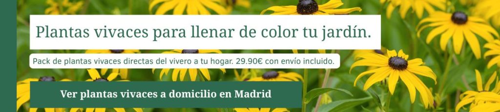Plantas vivaces a domicilio en Madrid Pack de plantas vivaces con envío a domicilio en Madrid por 29,90 €