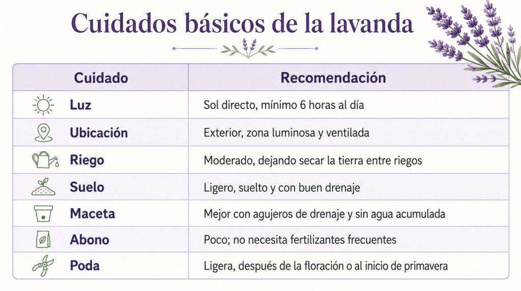 Tabla de cuidados básicos de la lavanda Tabla resumen de cuidados básicos de la lavanda: luz, ubicación, riego, suelo, maceta, abono y poda