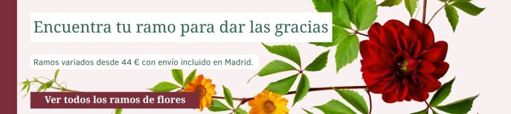 Banner de ramo variado con dalia roja y flores naranjas, envío a domicilio en Madrid