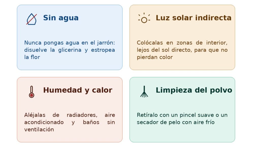 Cuidados de las flores preservadas Infografía con los cuidados de las flores preservadas: sin agua, luz solar indirecta, sin humedad ni calor, y limpieza con pincel suave