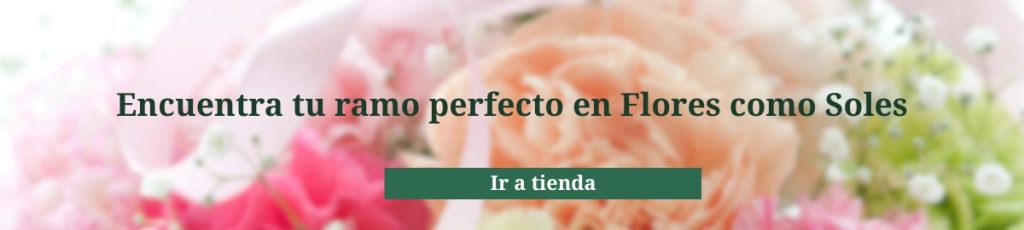 Encuentra tu ramo perfecto — Flores como Soles Banner con flores en tonos rosa y melocotón y el texto Encuentra tu ramo perfecto en Flores como Soles — Ir a tienda