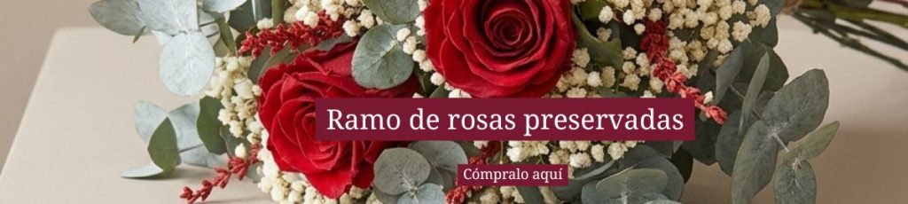 Ramo de rosas preservadas — Flores como Soles Banner con ramo de rosas rojas preservadas y eucalipto — Cómpralo aquí