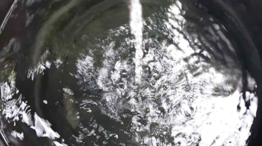 Agua limpia para un jarrón de flores Agua limpia en un jarrón de vidrio