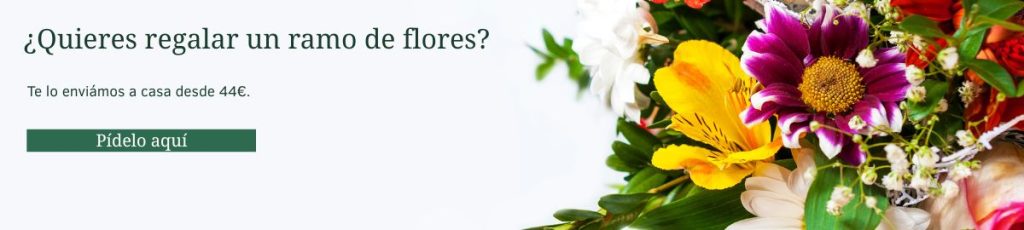 Ramos de flores preparados en nuestra floristería. Banner para comprar ramos de flores en Flores como Soles