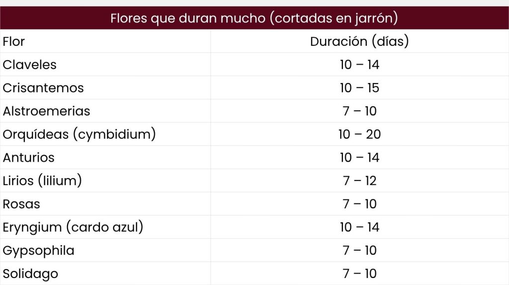 Tabla con las flores que pueden durar más tiempo en un jarrón