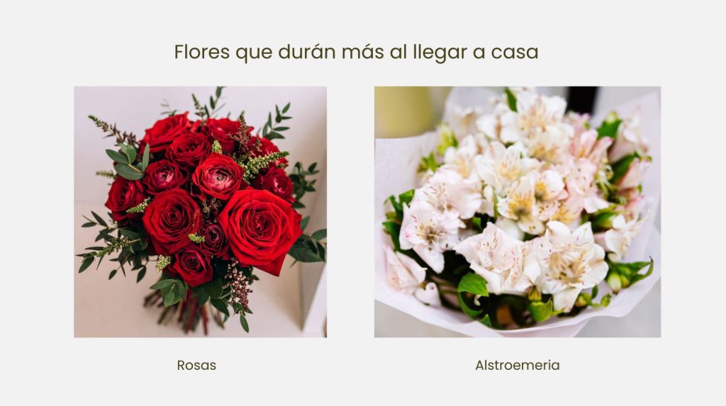 Fotoc con ramo de rosas rojas y ramo de alstroemeria blanca
