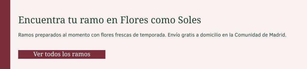 Ramos de flores naturales a domicilio en la Comunidad de Madrid — Flores como Soles