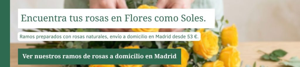 Compra rosas naturales en Flores como Soles Ramos de flores naturales a domicilio en la Comunidad de Madrid — Flores como Soles
