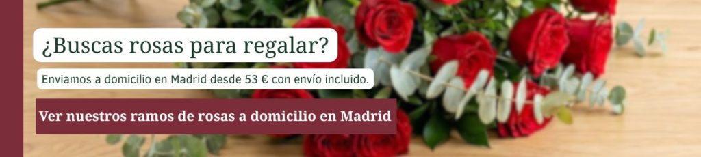 Compra rosas rojas en Flores como Soles. Ramo de rosas frescas con envío a domicilio en Madrid — Flores como Soles
