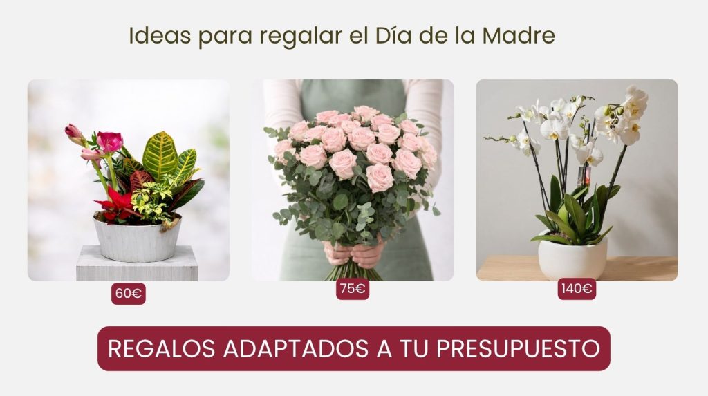 Flores y plantas para regalar el Día de la Madre adaptados a tu presupuesto