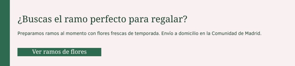 Ver ramos de flores Ramos de flores frescos para regalar con envío a domicilio en Madrid — Flores como Soles