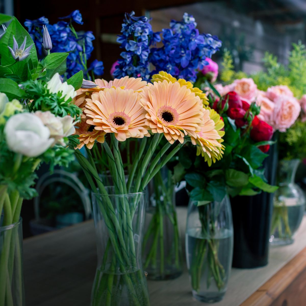 Qué flores regalar según la ocasión