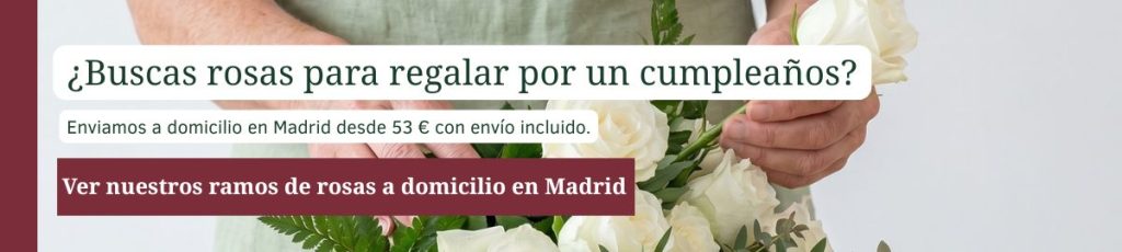 Banner para ver ramos de rosas para cumpleaños con envío a domicilio en Madrid desde 53 euros, envío incluido