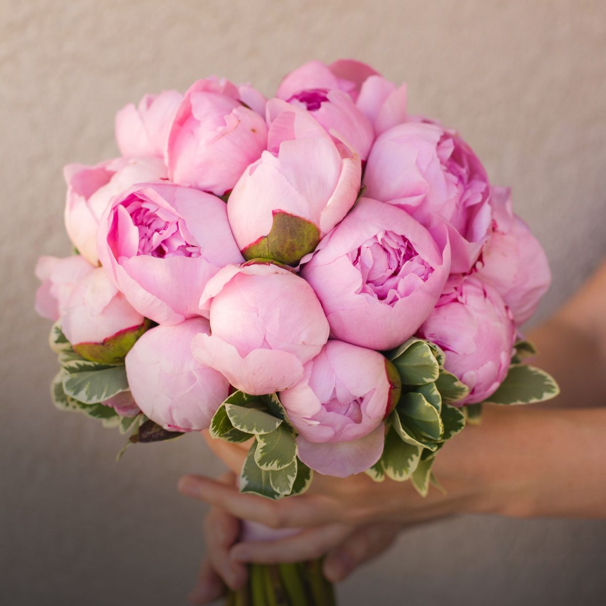 Qué flores regalar a tu pareja