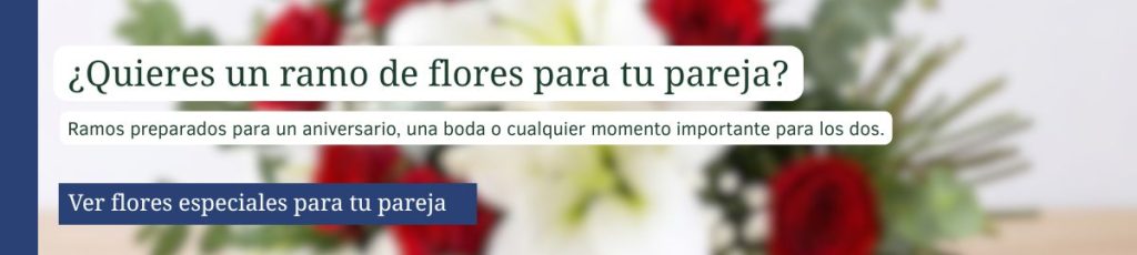 Ramo de rosas rojas para regalar a tu pareja en un aniversario, floristería online Madrid