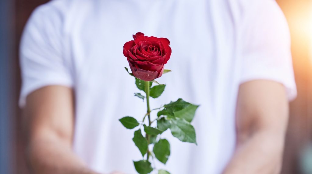 Persona entregando una rosa roja con las manos extendidas en primer plano