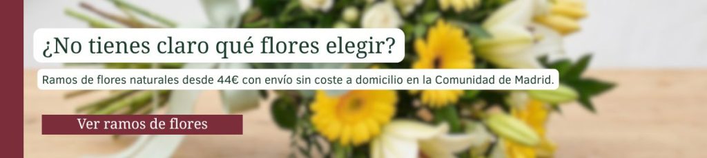 Ramos de flores naturales desde 44€ con envío sin coste a domicilio en la Comunidad de Madrid.