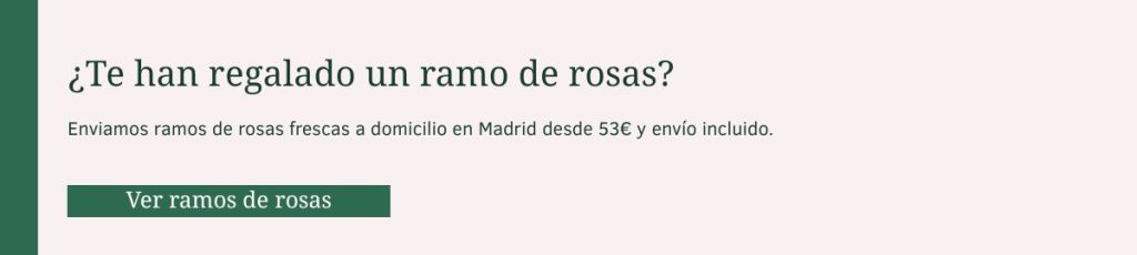 Ramos de rosas — Flores como Soles Ramo de rosas frescas con envío a domicilio en Madrid — Flores como Soles