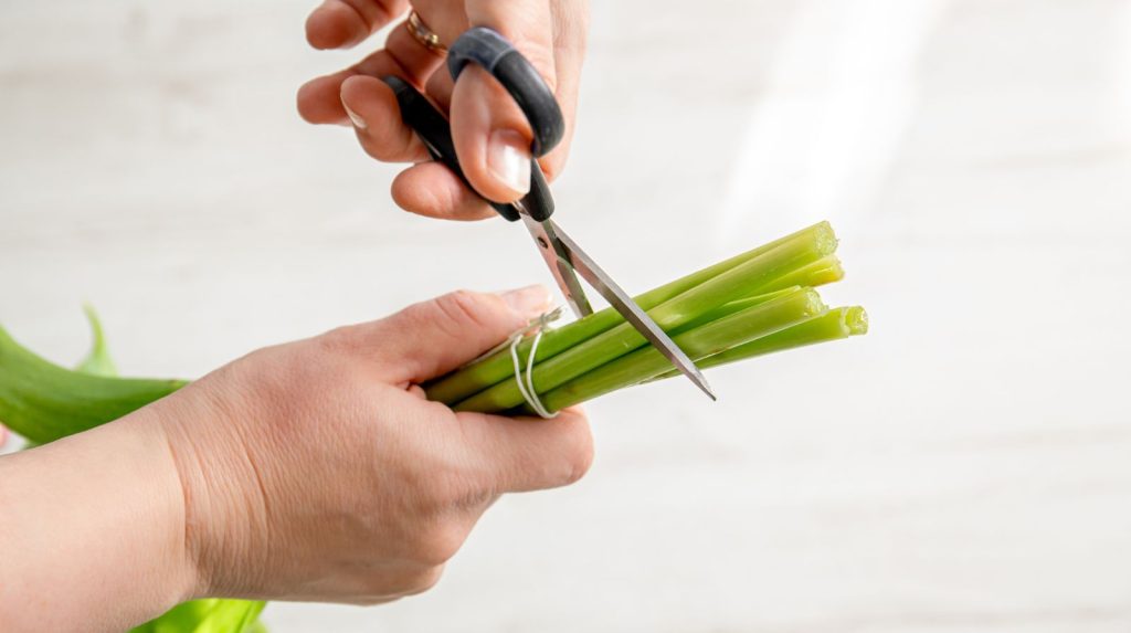 mano cortando tallos de flores con tijeras