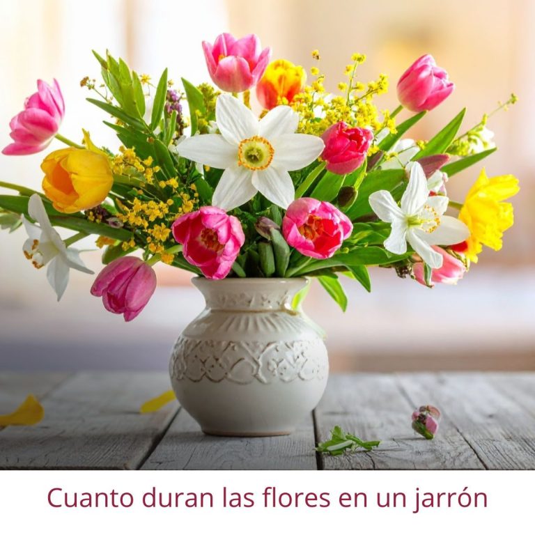 Flores variadas en un jarrón blanco sobre una mesa