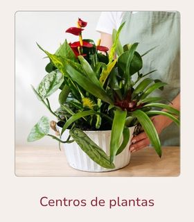Arreglos personalizados Florista retocando una cesta de plantas de interior colocada en una mesa de madera clara.