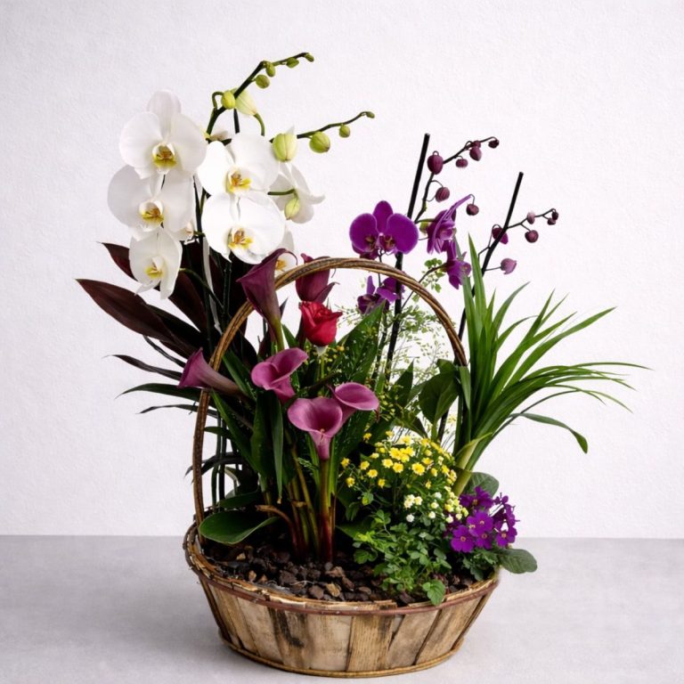 Cestas de plantas en Valdemoro Cesta de plantas de interior con orquídeas