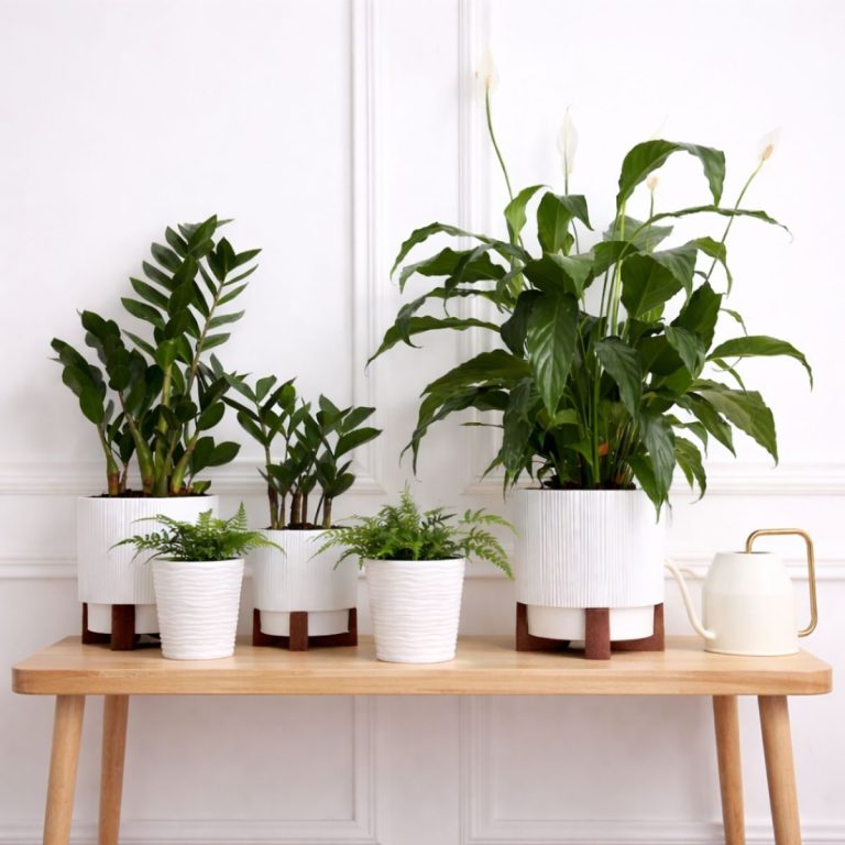 Plantas de interior en maceta blanca sobre una mesa