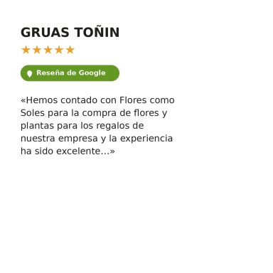 Reseña 5 estrellas en Google de empresa sobre flores y plantas para regalos corporativos en Madrid