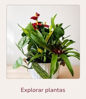 Composición de plantas verdes en maceta blanca colocada sobre una superficie clara