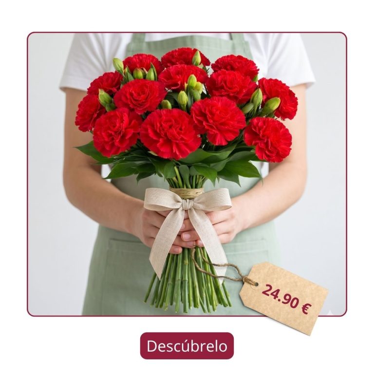 Ramo de claveles — Flores como Soles Ramo de claveles rojos frescos para regalar en un cumpleaños en Madrid