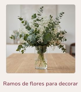 Ramo de eucalipto y paniculata colocado en un jarrón encima de una mesa clara decorando un salón.