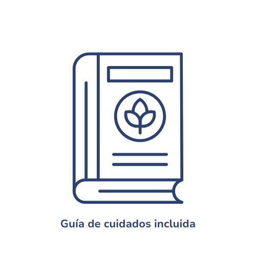 Icono de guía de cuidados